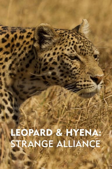 Leopard & Hyena: Strange Alliance poster