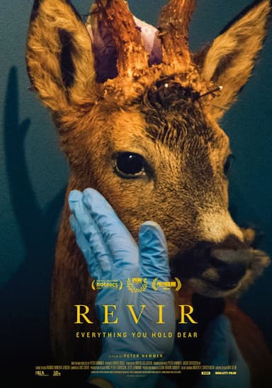 Revir - Everything You Hold Dear poster