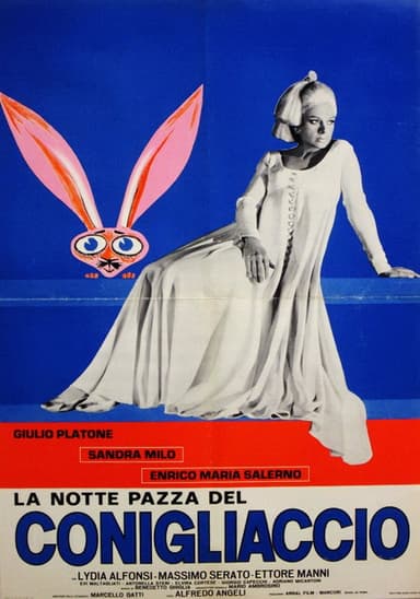 The Strange Night poster