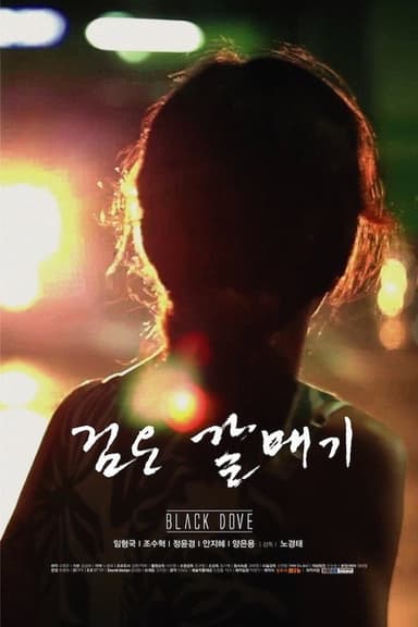 Black Dove poster
