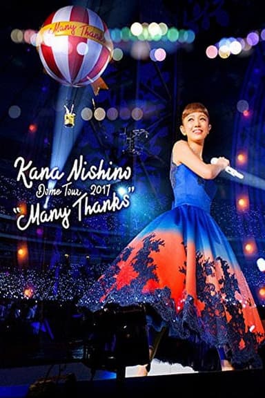 Dome Tour 2017“Many Thanks” poster