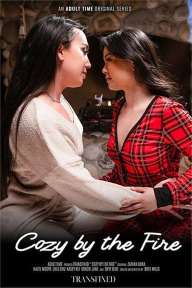 Cozy By The Fire poster