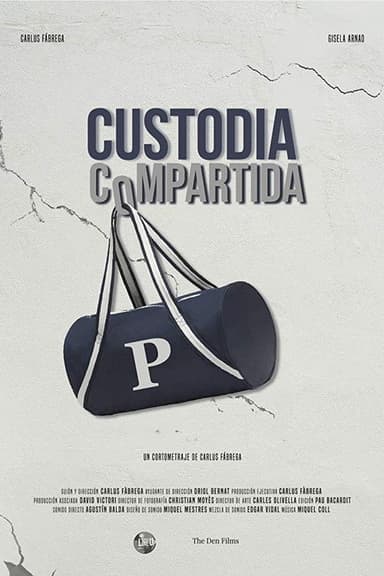 Joint Custody poster