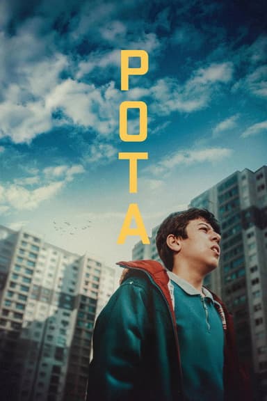 The Hoop poster