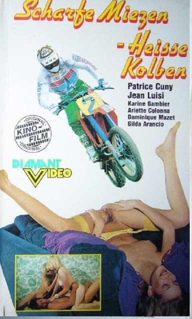 Porn's Girls poster