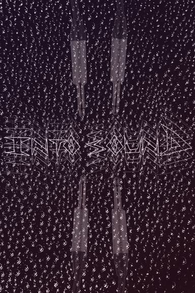 Into Sound poster