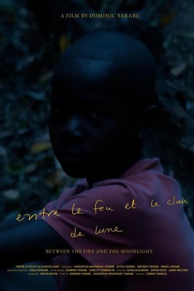 Between the fire and the moonlight poster