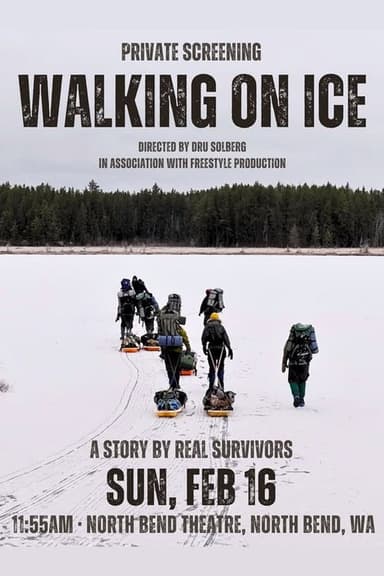 Walking on Ice poster