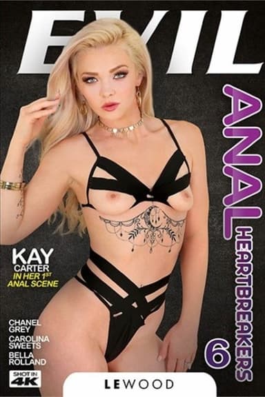 Anal Heartbreakers 6 poster