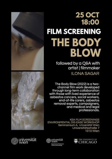 The Body Blow poster