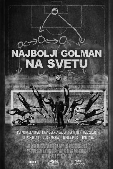 Best Goalkeeper in the World poster