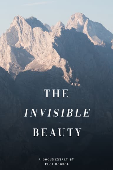 The Invisible Beauty poster