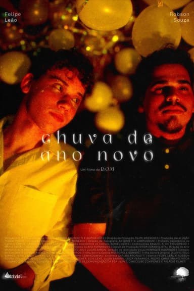chuva de ano novo poster