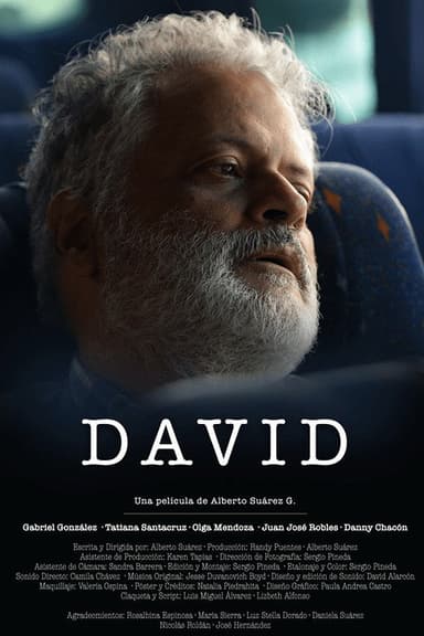 David poster