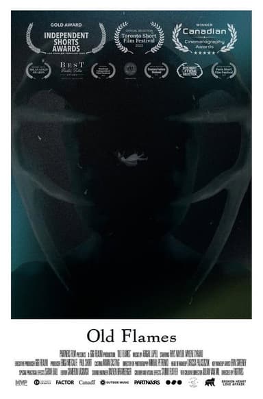 Old Flames poster