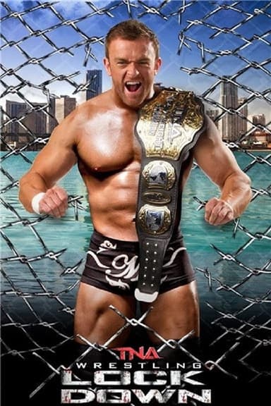 TNA Lockdown 2014 poster