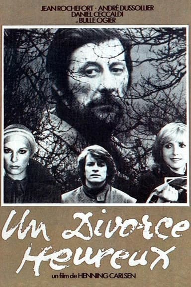 A Happy Divorce poster