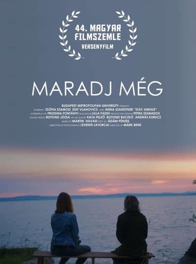 Maradj még poster