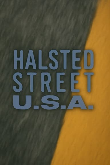 Halsted Street, USA poster