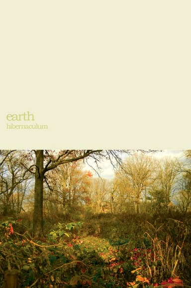 Earth: Within the Drone poster
