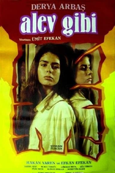 Alev Gibi poster