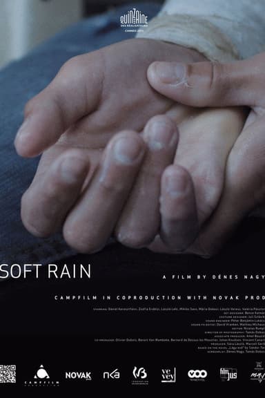 Soft Rain poster