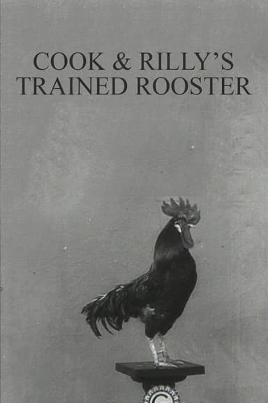 Cook & Rilly's Trained Rooster poster