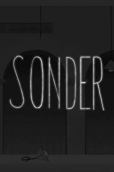 Sonder poster