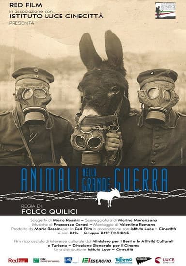 Animals in the Great War poster