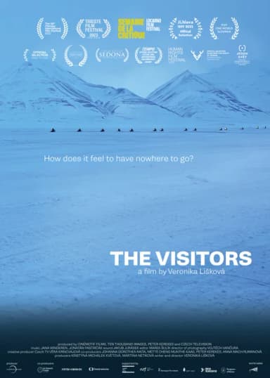 The Visitors poster
