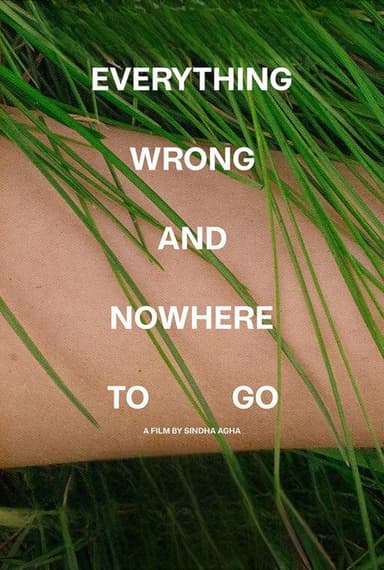 Everything Wrong and Nowhere to Go poster