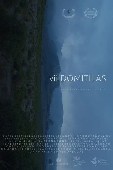 VII Domitilas poster