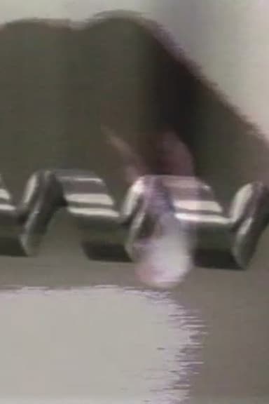 My TV Dictionary: The Drill poster