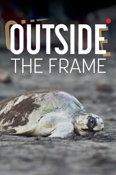 Outside The Frame poster
