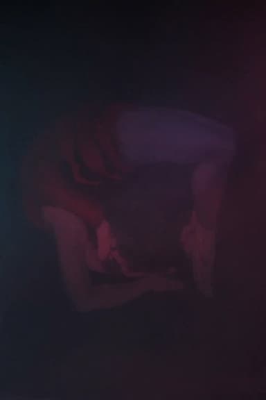 Whispers Of Vermeer poster