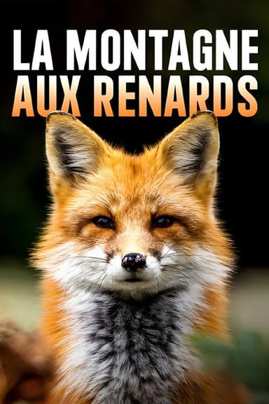 The Fox Mountain poster