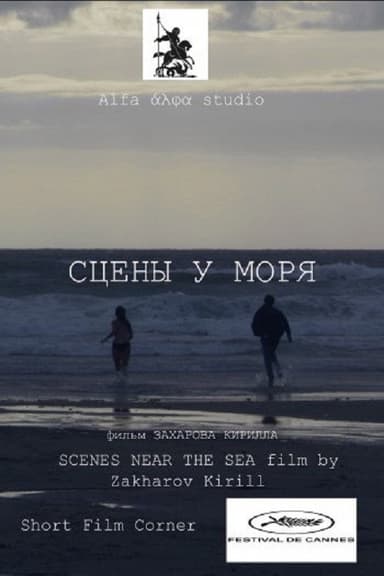 Scenes at the Sea poster