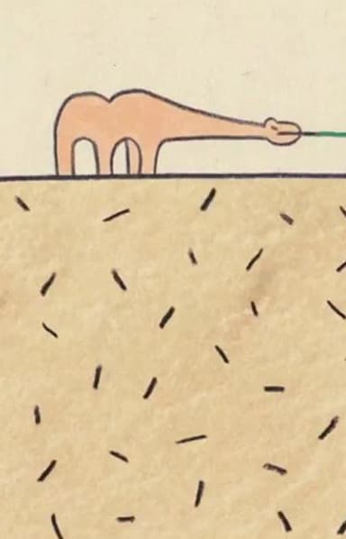 Essay in the Desert poster