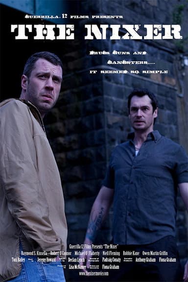 The Nixer poster