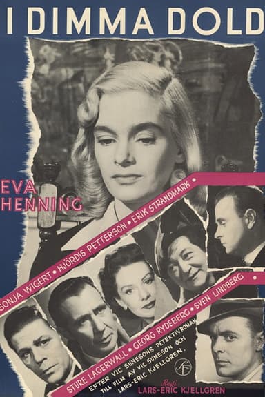 Hidden in the Fog poster