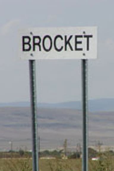 Brocket 99: Rockin' the Country poster