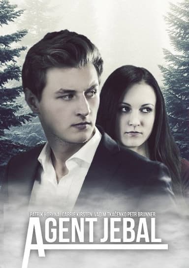 AGENT JEBAL - Dáma v Nesnázích poster