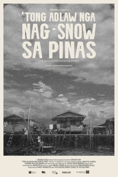 The Day It Snowed In The Philippines poster