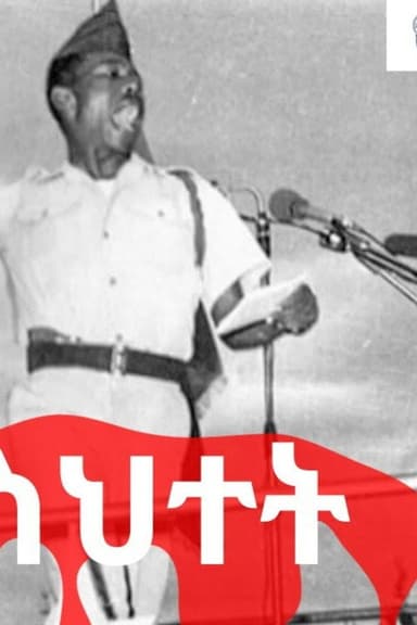 Red Mistake poster