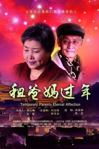 租爸妈过年 poster