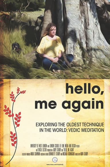 Hello, Me Again poster