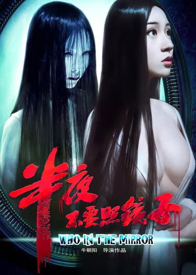 Who In The Mirror poster