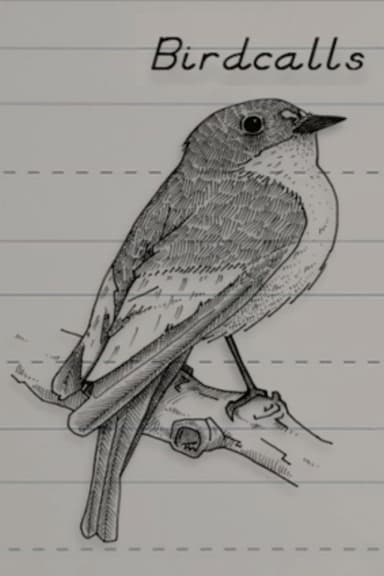 Birdcalls poster
