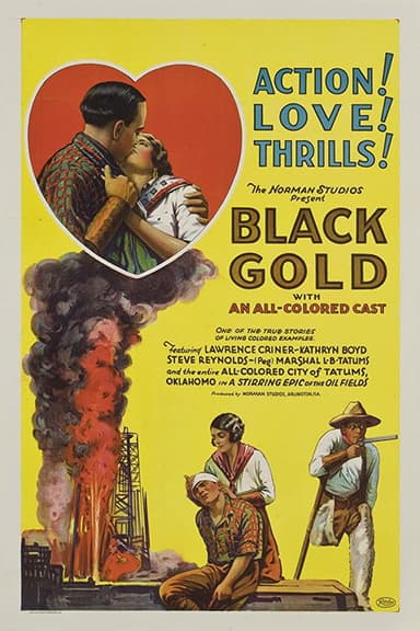 Black Gold poster