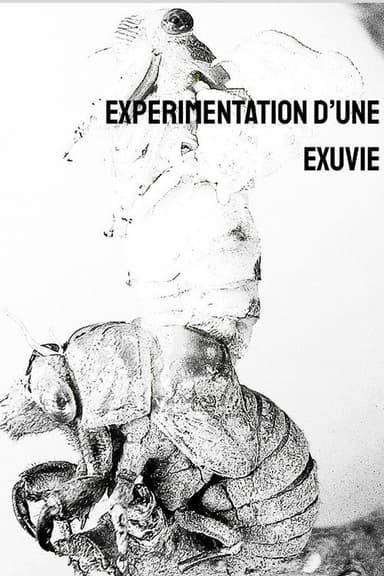 Expérimentation d'une exuvie poster